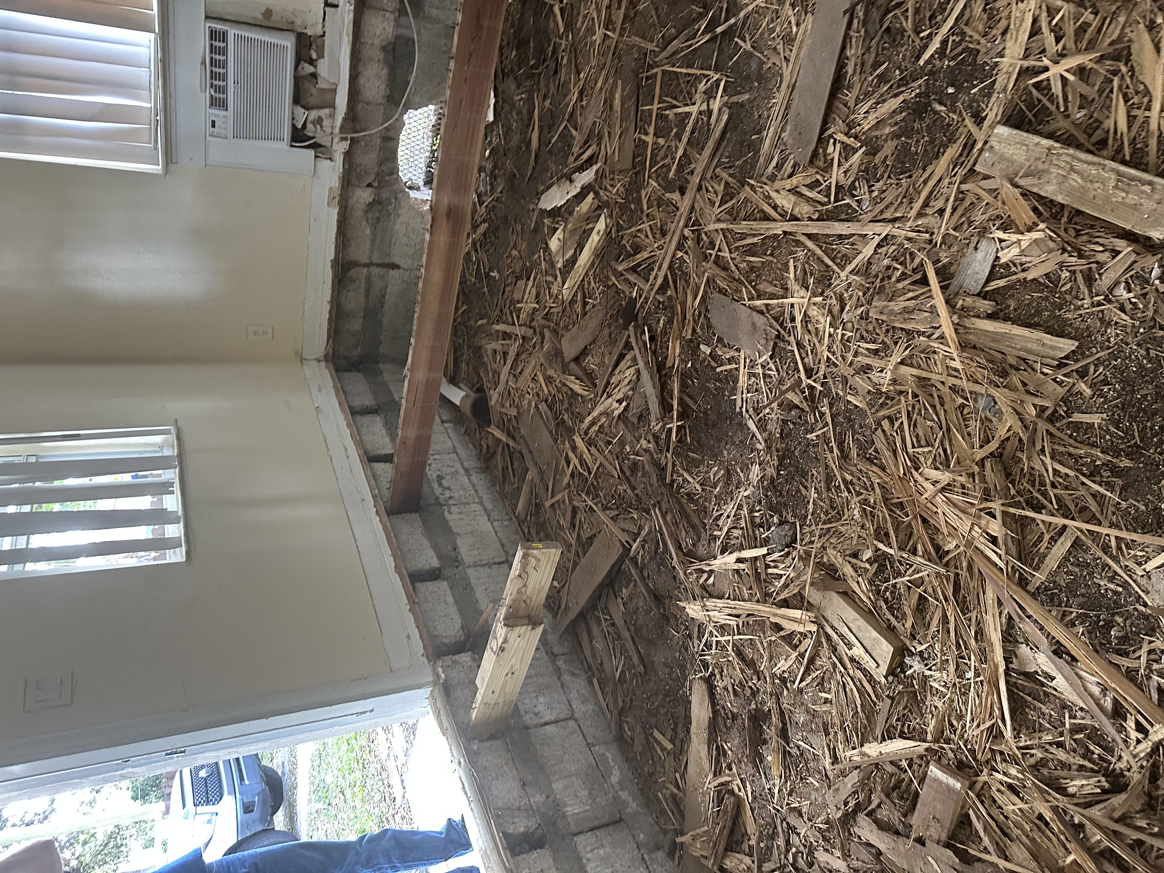 General Pest Control in 