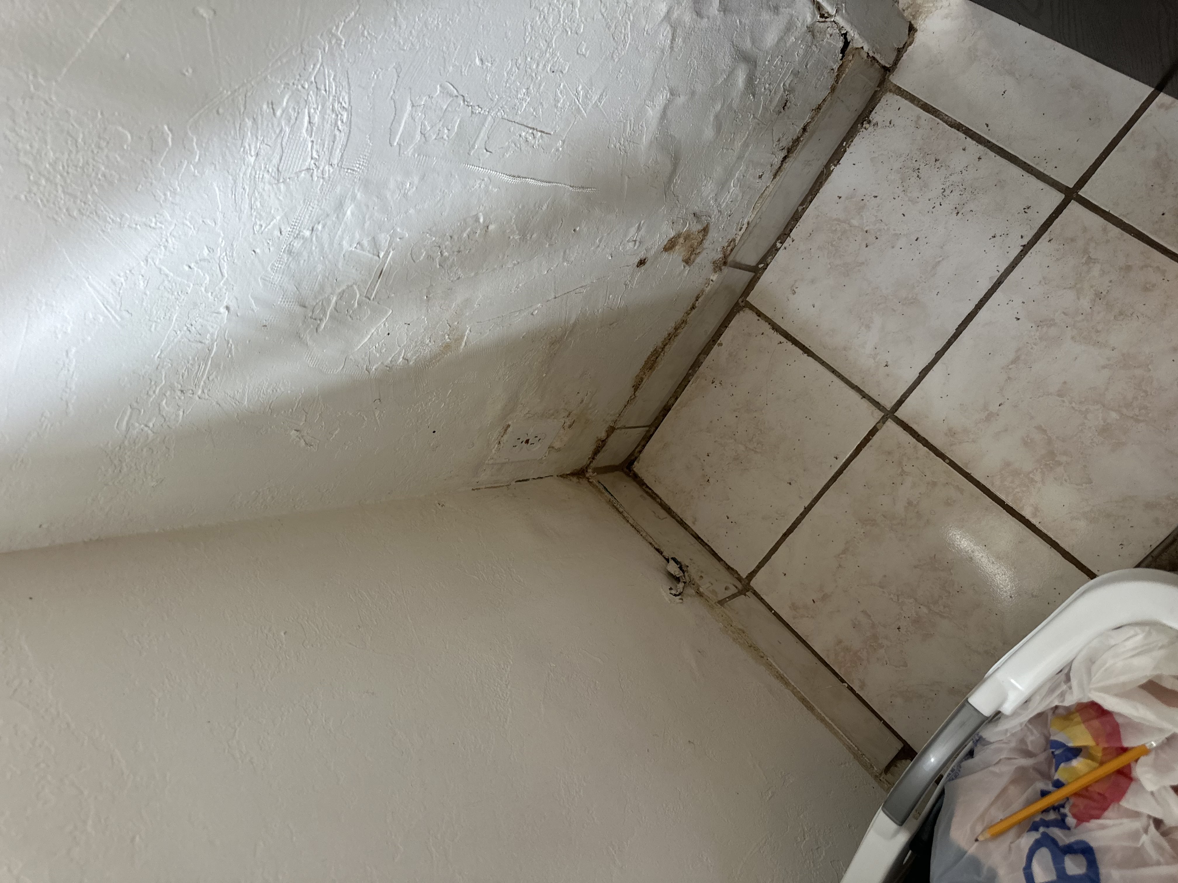 Termite Treatments in 