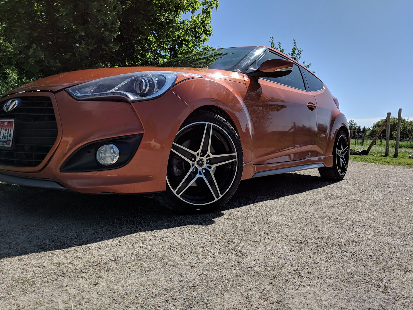 Trusted Auto Detailing Team for All Your Detailing Needs