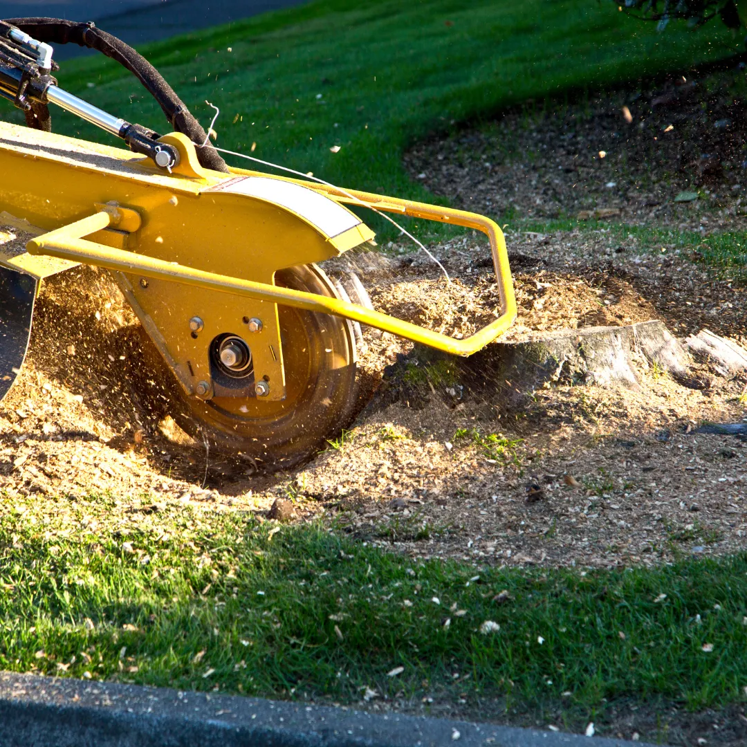 Premium Tree & Shrub, Tree Services Lilburn GA