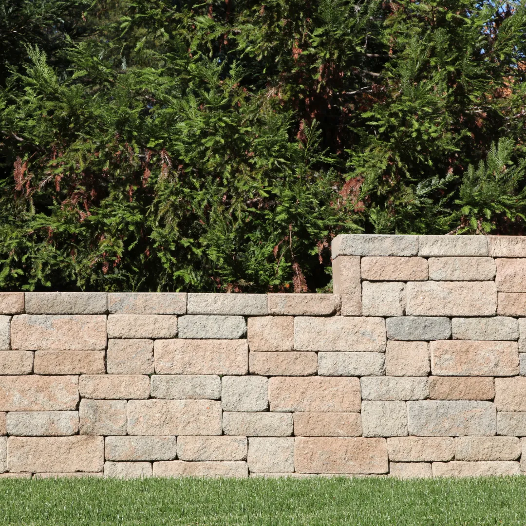 Premium Tree & Shrub, Tree Services Lilburn GA