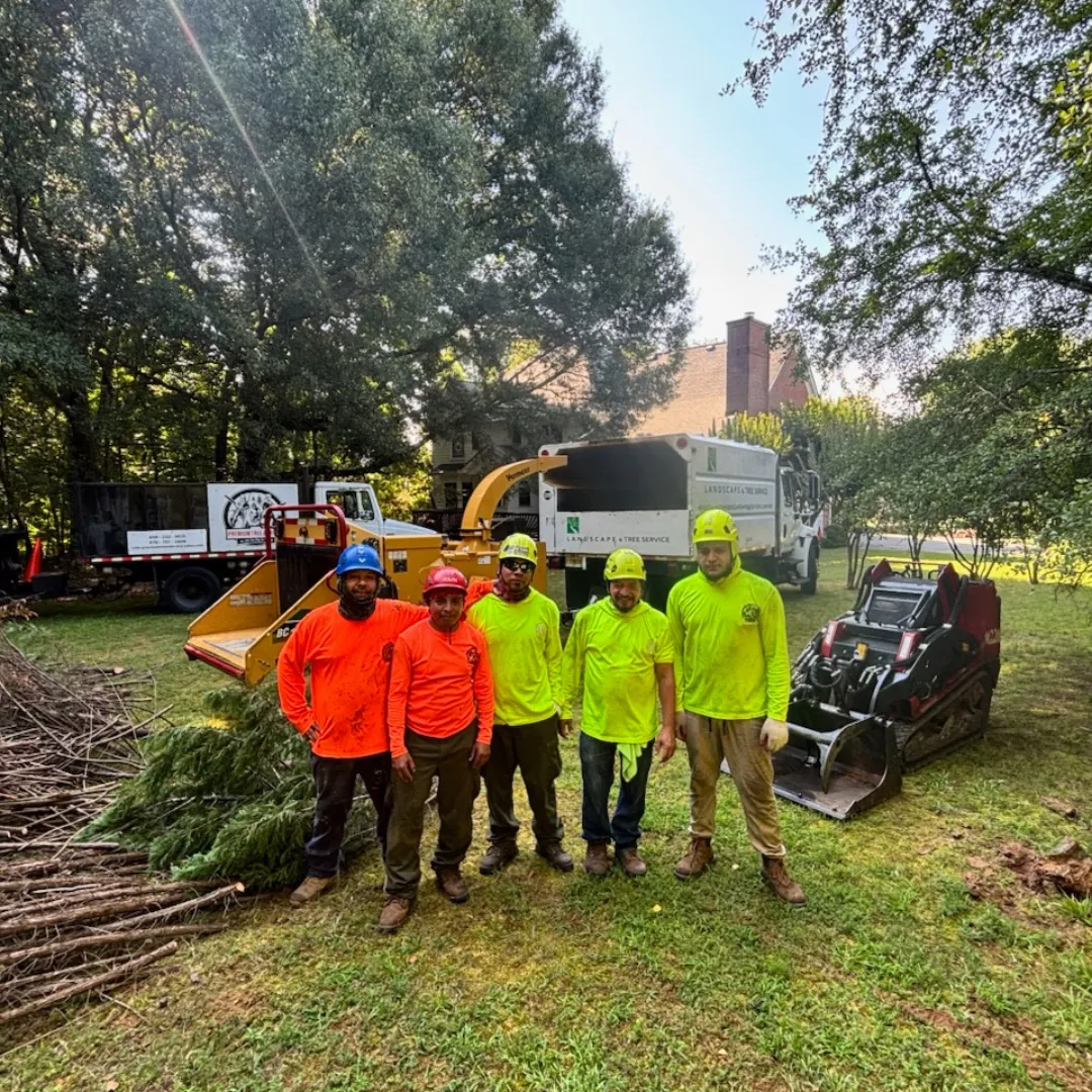 tree company Lilburn GA, tree removal company Lilburn GA, stump removal Lilburn GA, tree trimming Lilburn GA, retaining wall company Lilburn GA, French drain company Lilburn GA, local tree service Lilburn GA