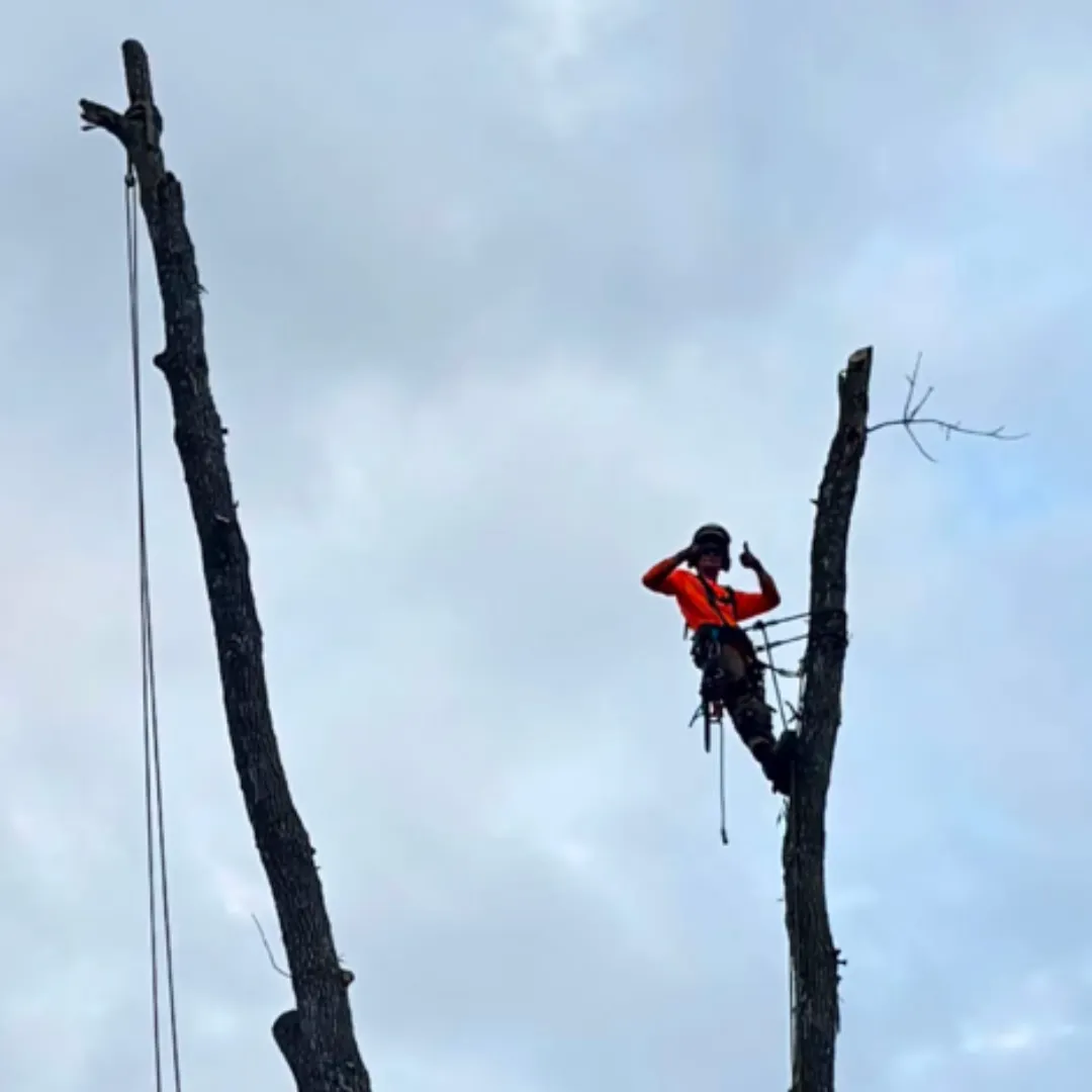 tree removal Lilburn GA, tree stump removal Lilburn GA, tree trimming Lilburn GA, retaining walls Lilburn GA, French drain installation Lilburn GA, French drain repair Lilburn GA, tree pruning Lilburn GA