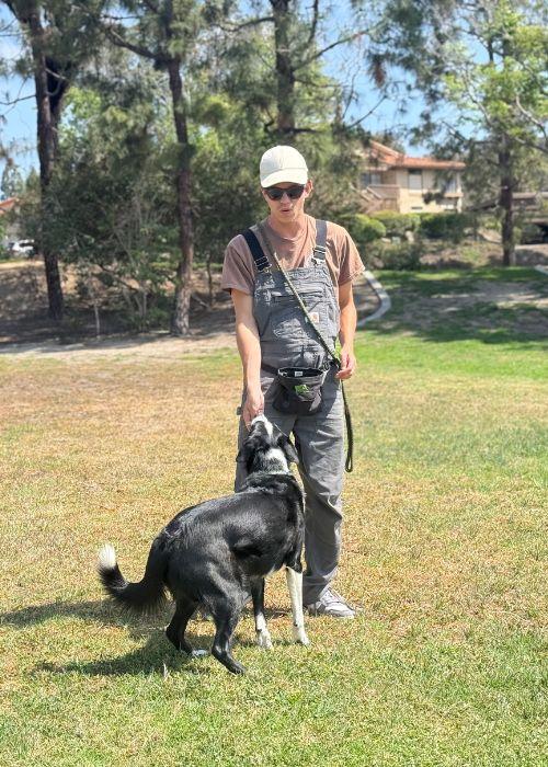 Dog Trainer San Diego Ca