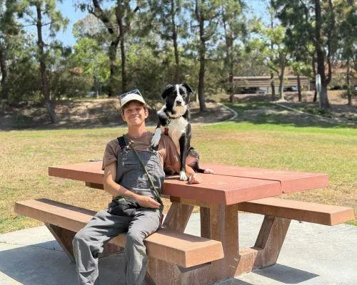 professional dog trainer raleigh