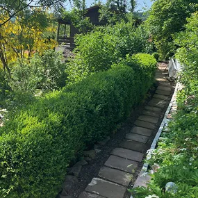 Casa Smi Außenanlage