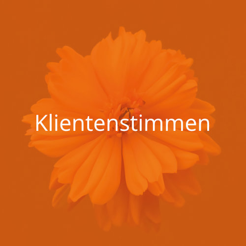 Navigation zu Klientenstimmen