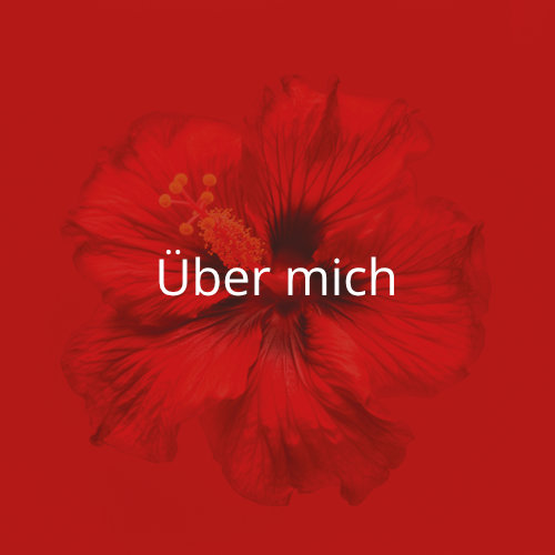 Navigation zu Über mich