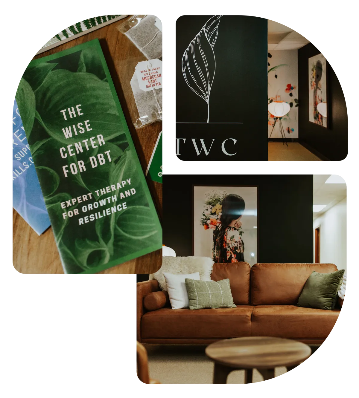 The Wise Center