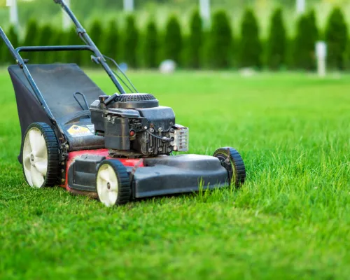 Lawn Care in Montgomery County