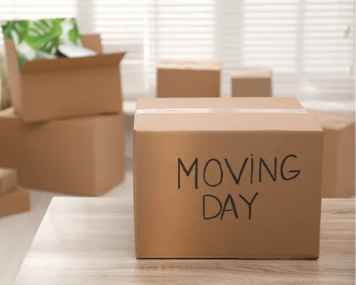 Bucks County Small Moving Jobs