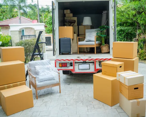 Junk Removal