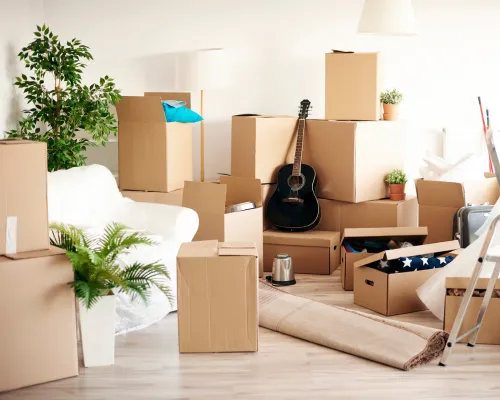 Junk Removal