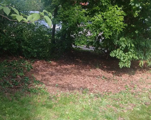 Small Moving Jobs Montgomery County