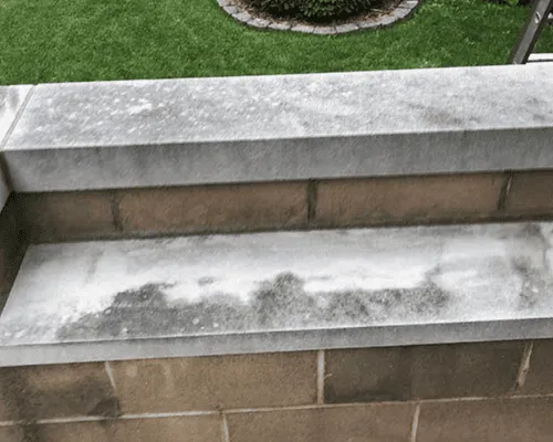  Residential Window Cleaning