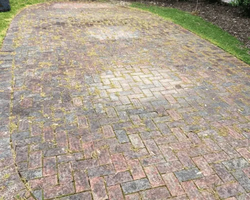 Commercial Window Cleaning Chicago