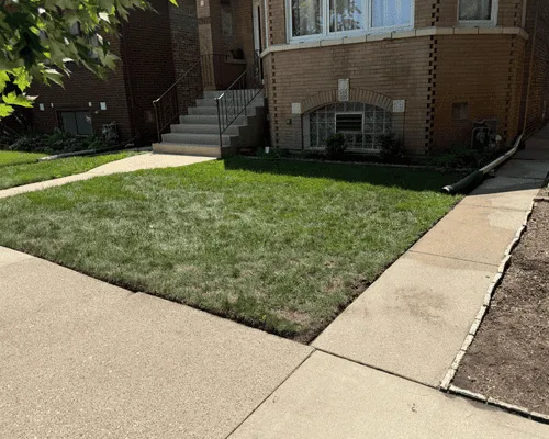  Residential Window Cleaning