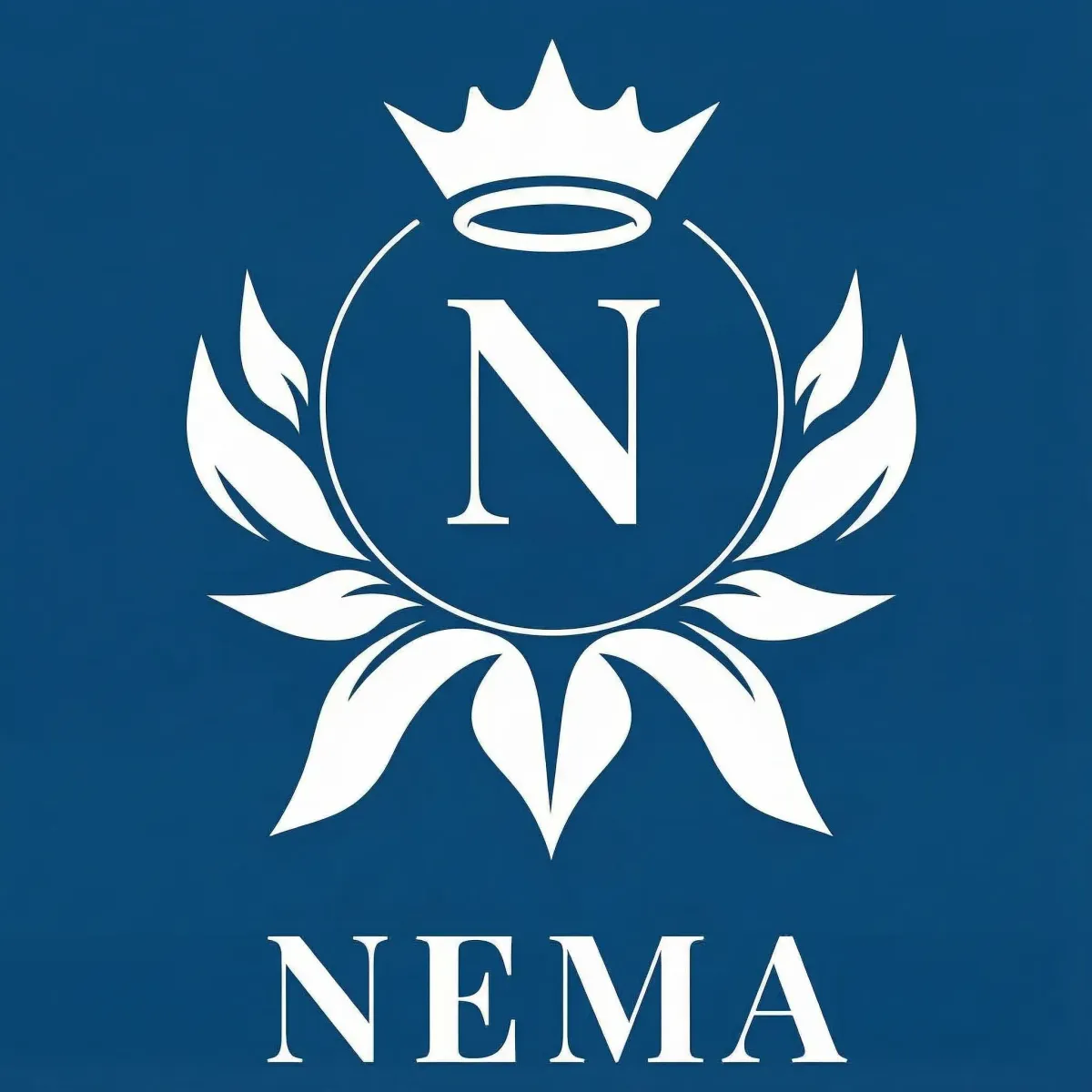 Nema Group