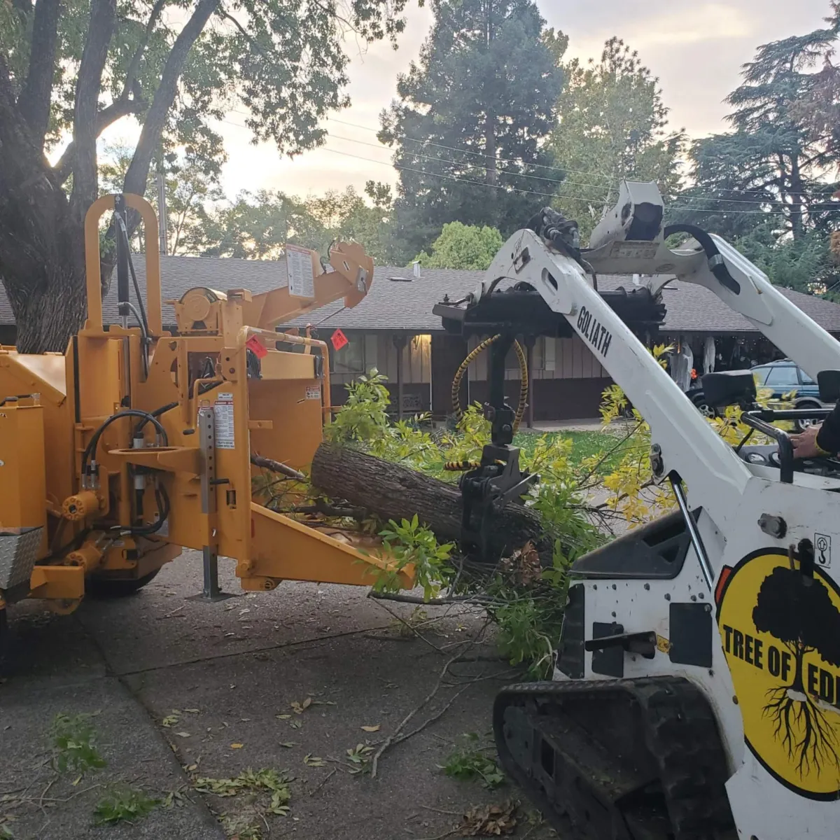 tree service crane image-Viking Tree & Stum