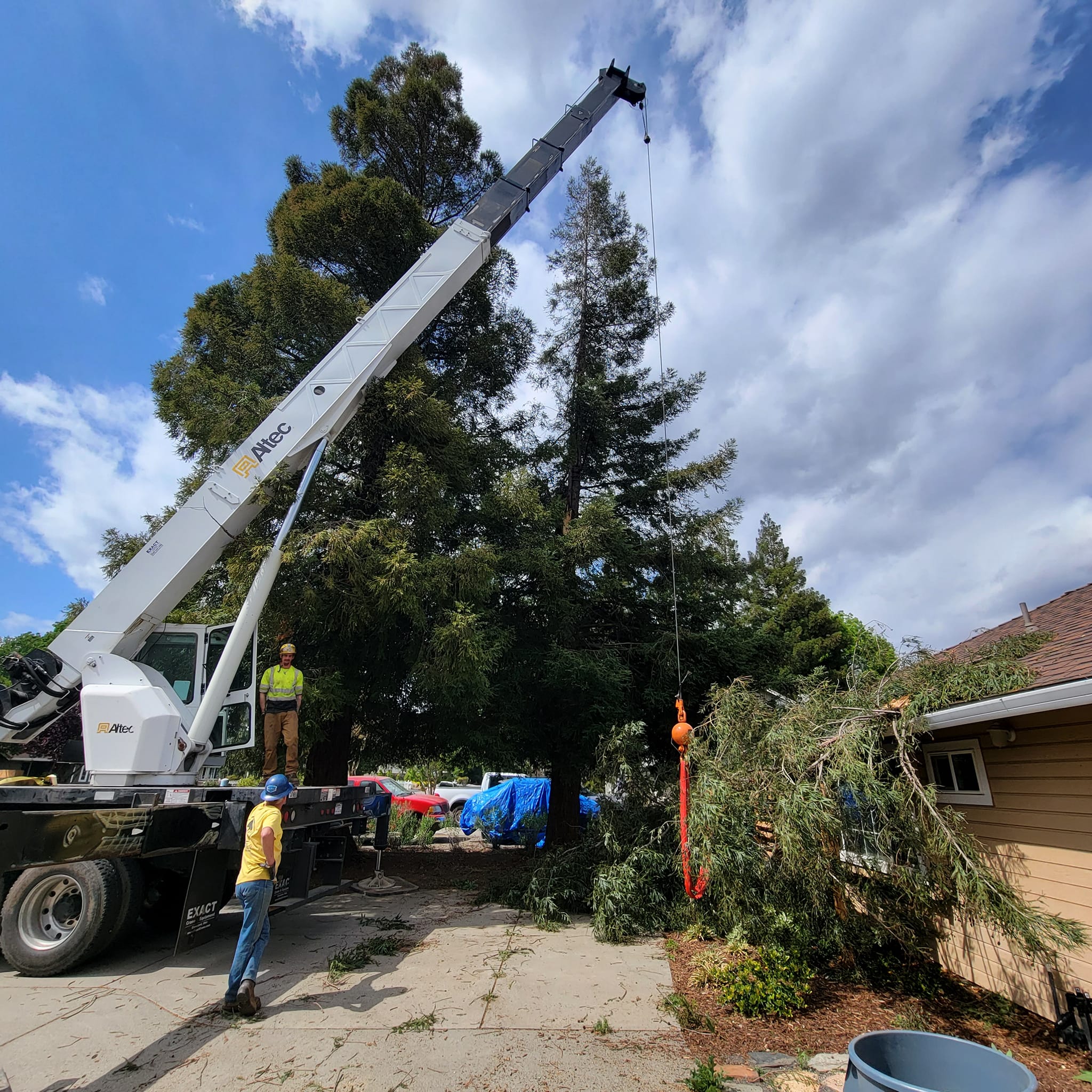24/7 Emergency Response - Viking Tree and Stump