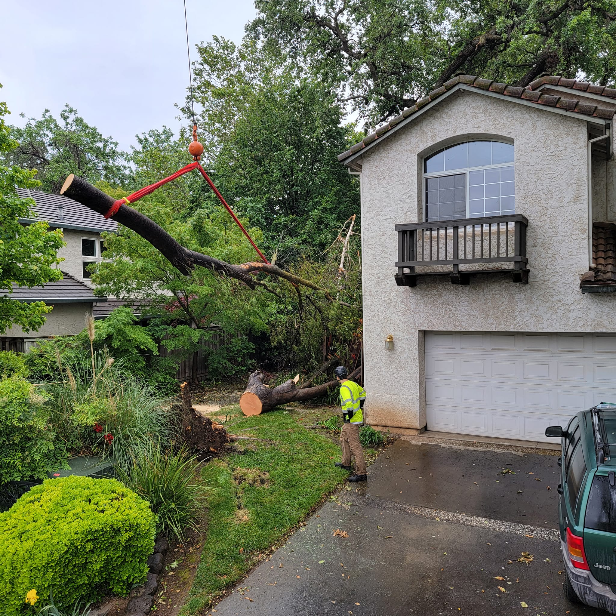 Viking Tree and Stump -Tree Trimming-