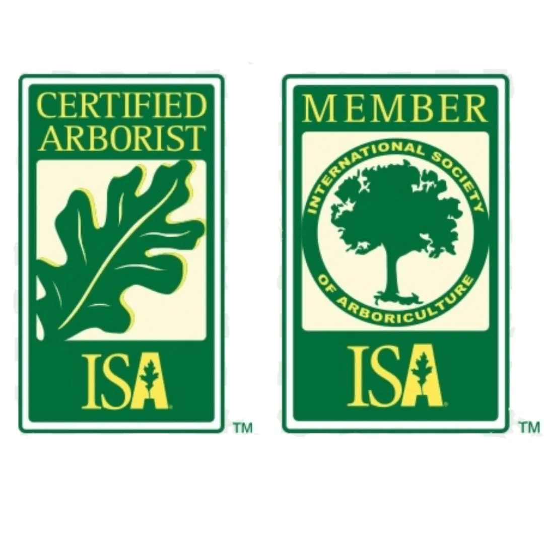 ISA CERTIFICATION - treeofedenchico.com