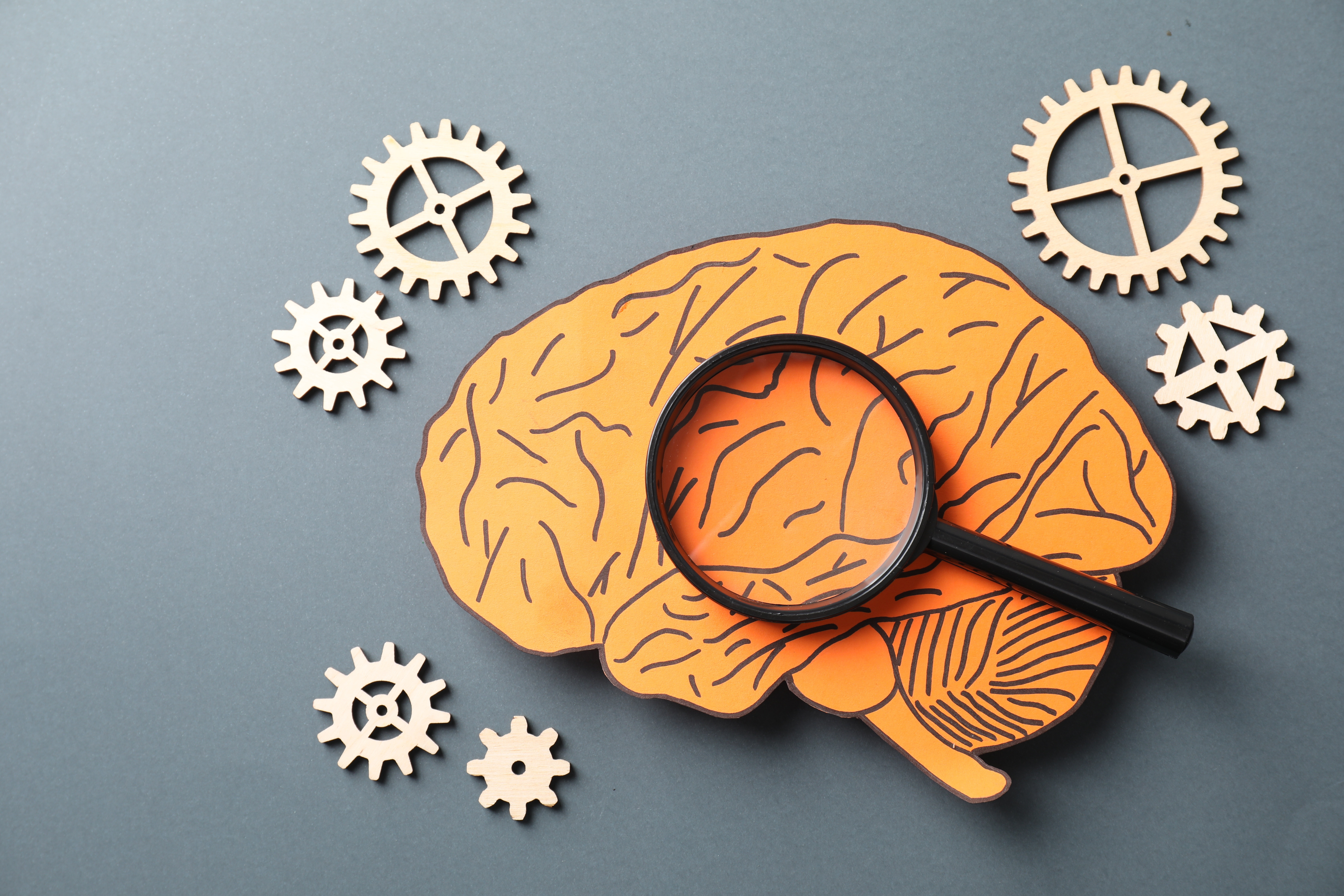 What Is Working Memory and How to Improve It