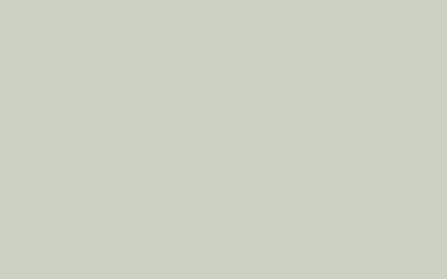 Dew pale mist grey olive green laminate finish for clean custom closet organization in Weston