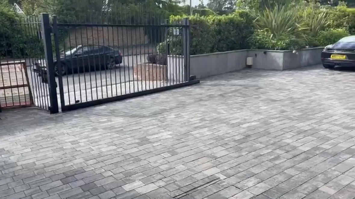 red and white flower garden