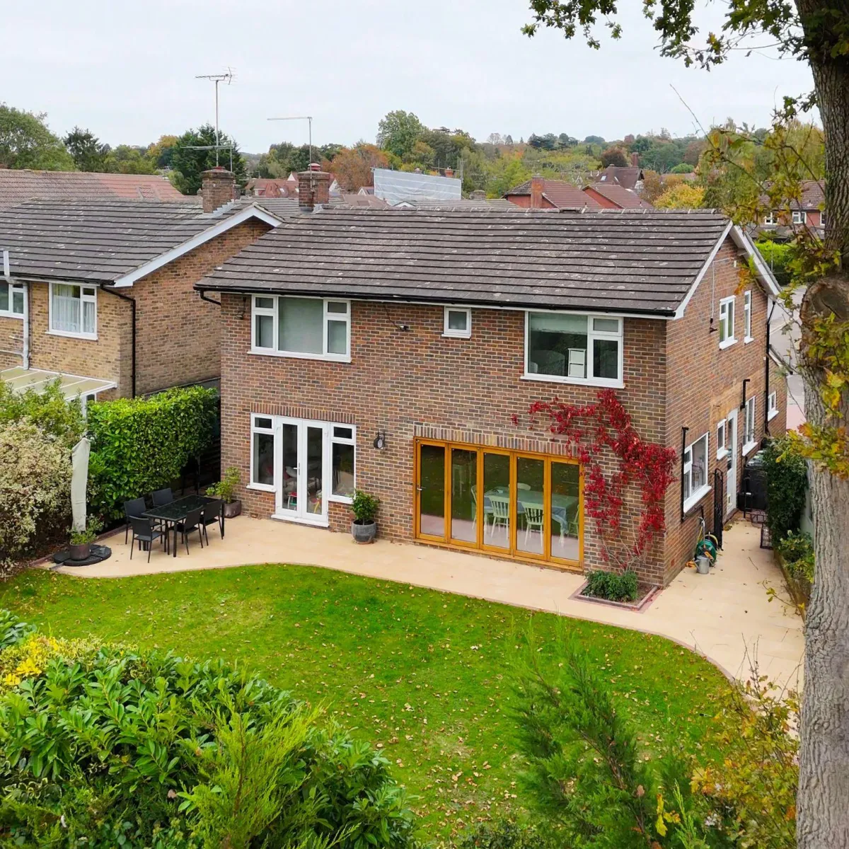 water drops on green leaf plants