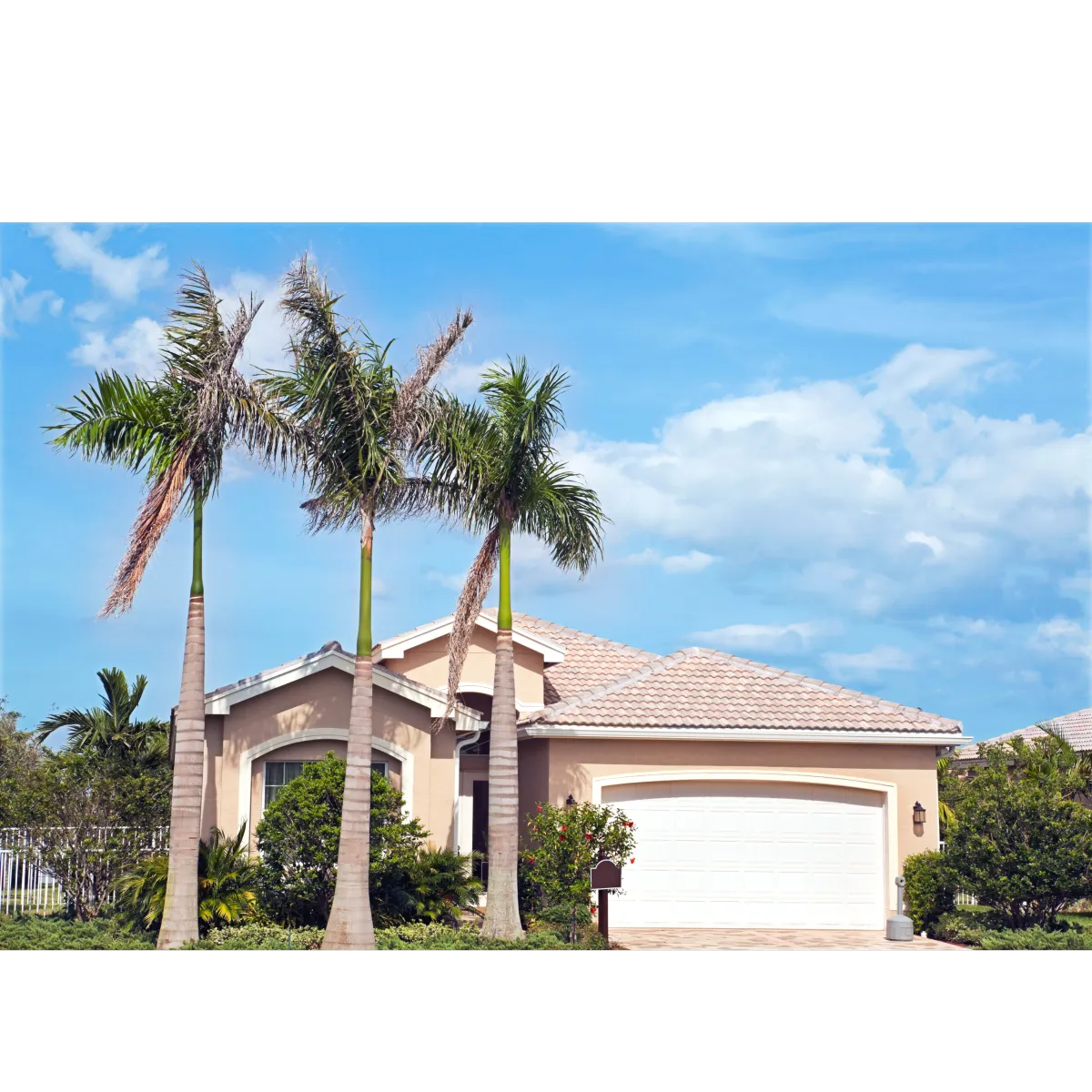 stucco house with three palm trees in front