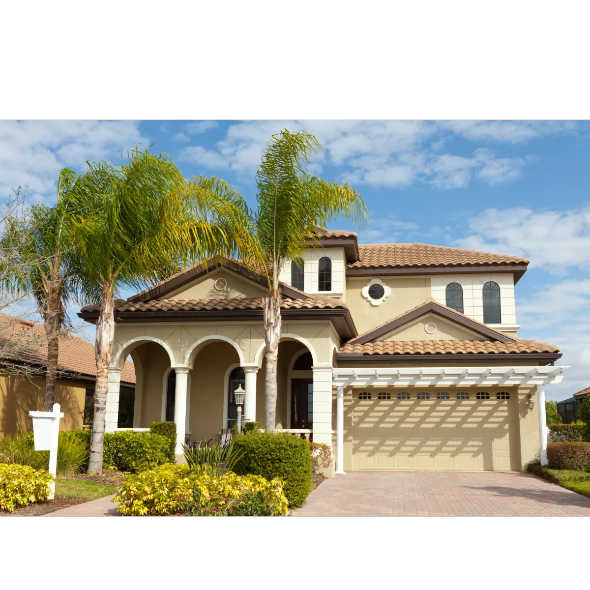 Florida house with three palm trees in front