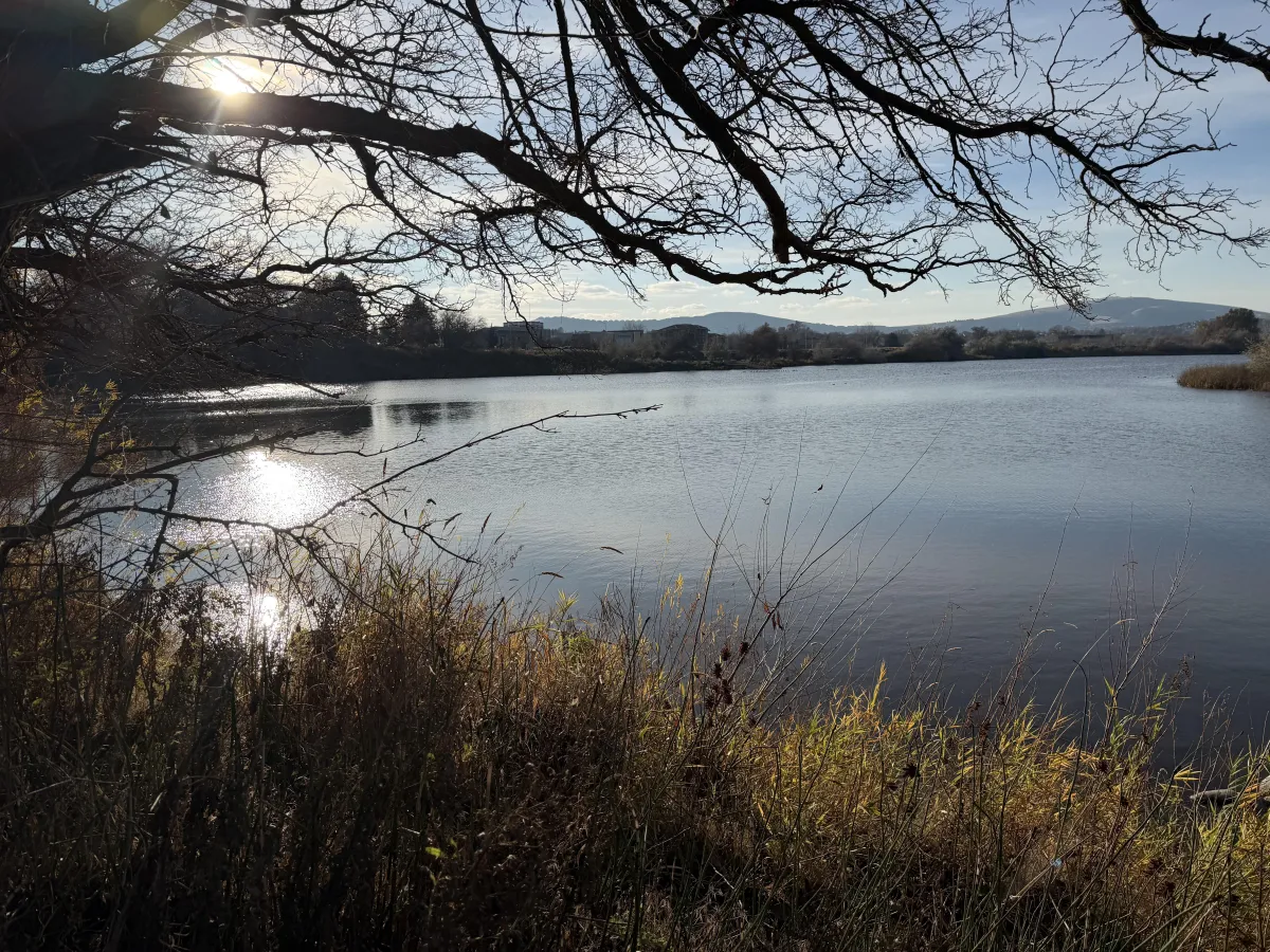Pros and Cons of Living in Tri-Cities, WA: What People Usually Wish They Knew Before Moving Here