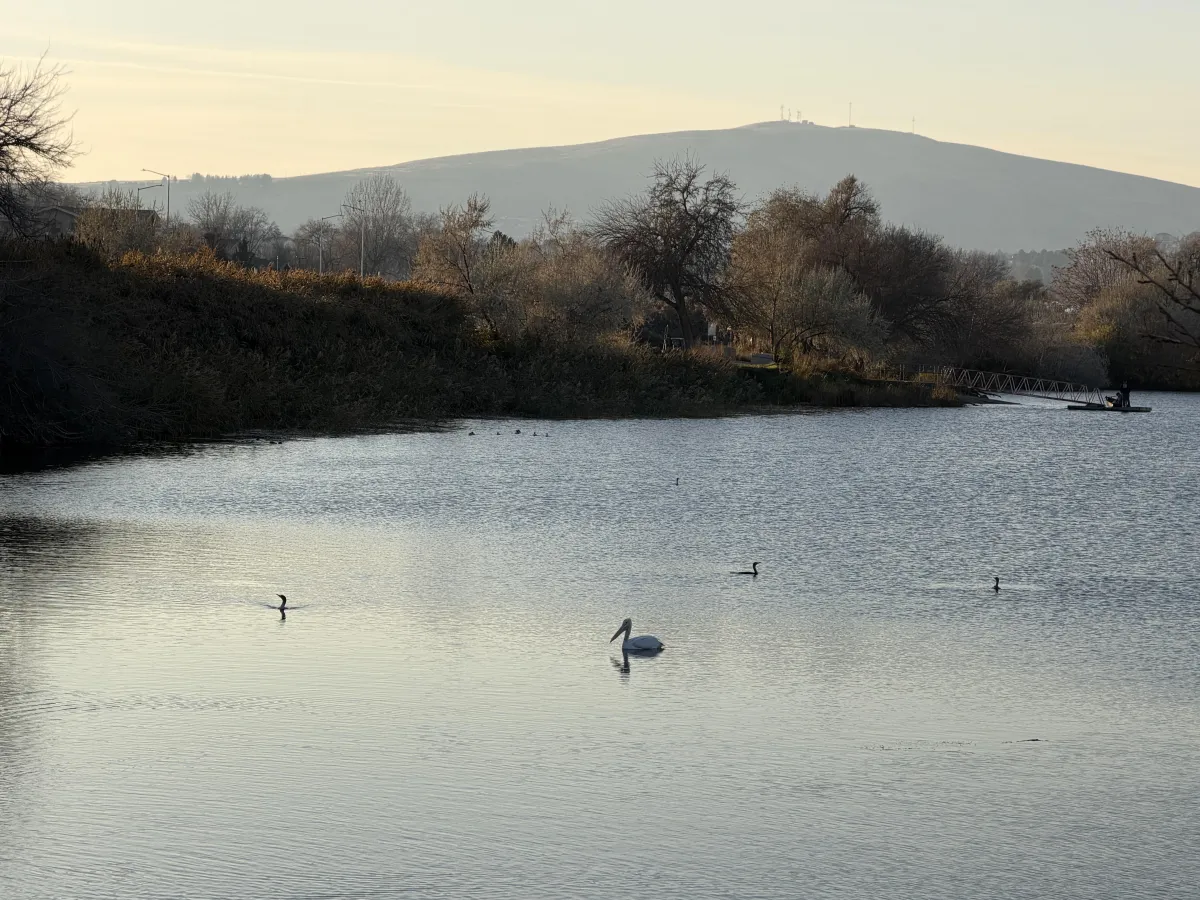 What Is It Like Living in Tri-Cities, WA Year-Round?
