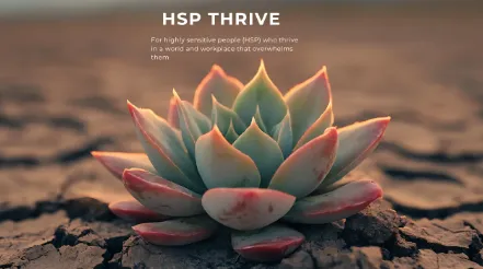 A calm stream flows through a sunny autumn forest.