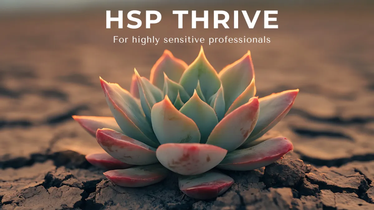 A calm stream flows through a sunny autumn forest.