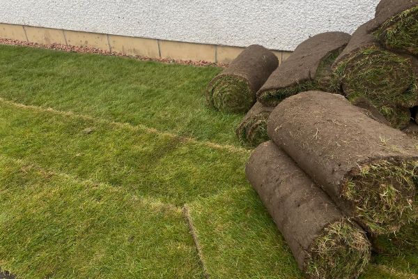 Hardscape Design & Installation in 