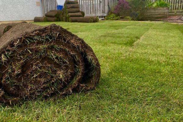 Artificial Turf Installation in 