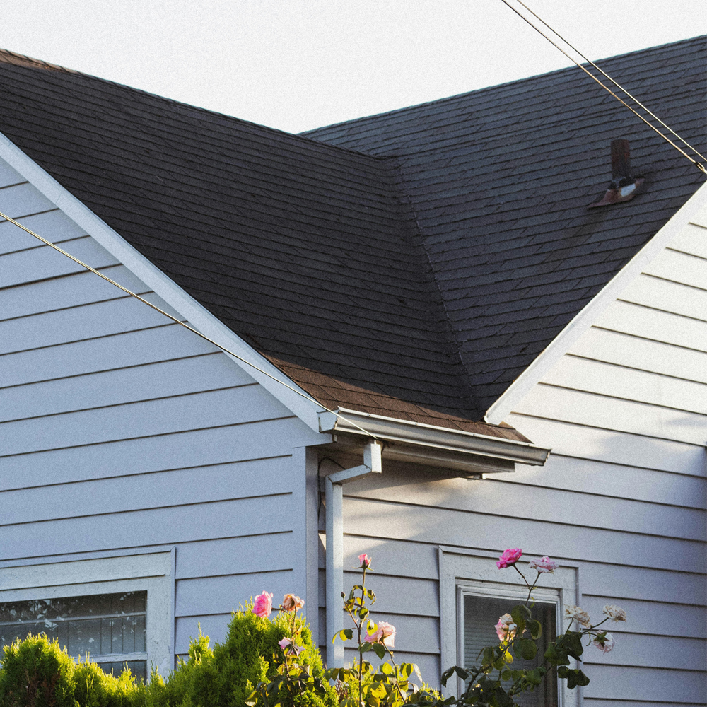 Roof painting service in Lower Hutt