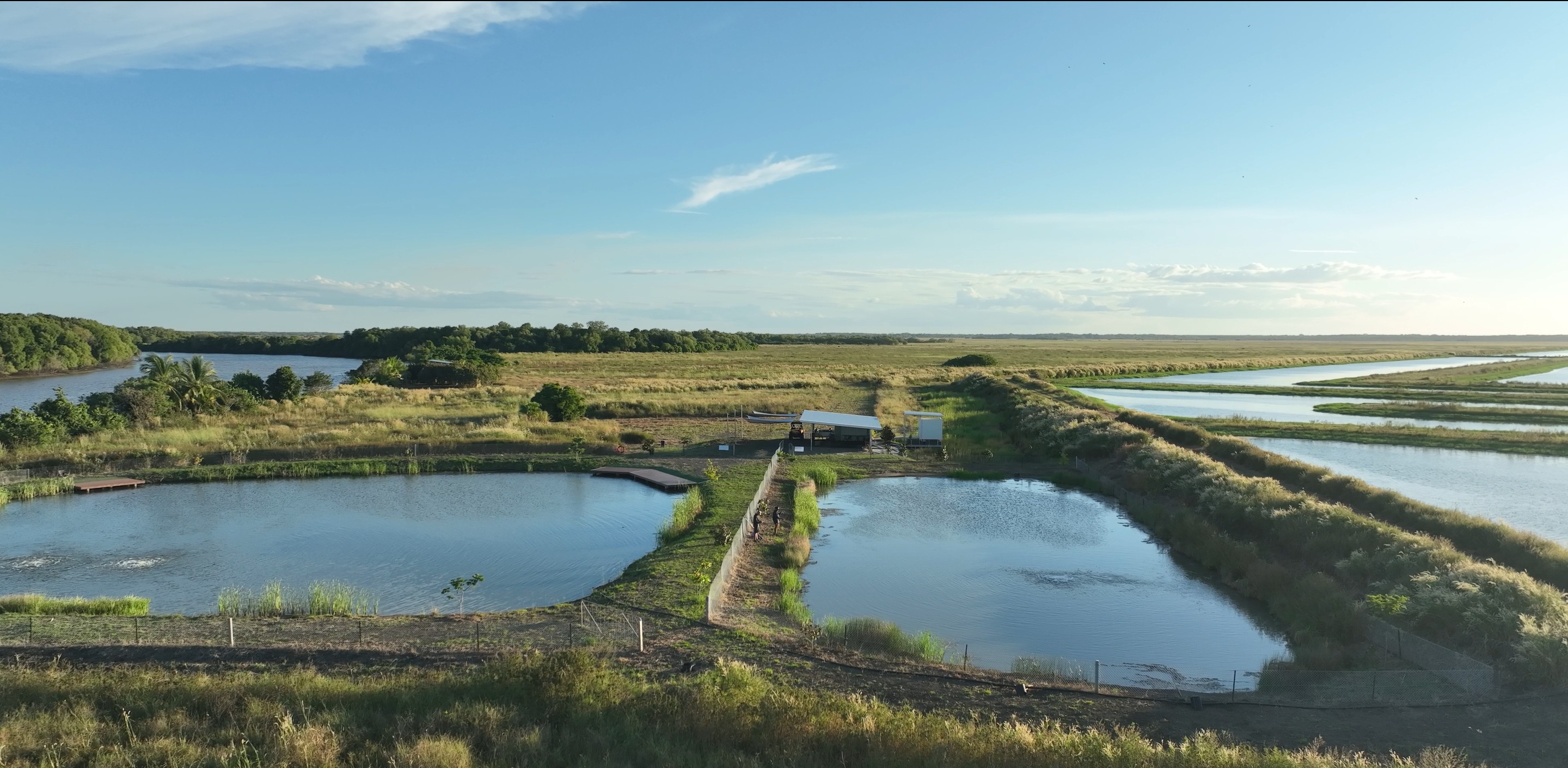 Barramundi land fishing ponds