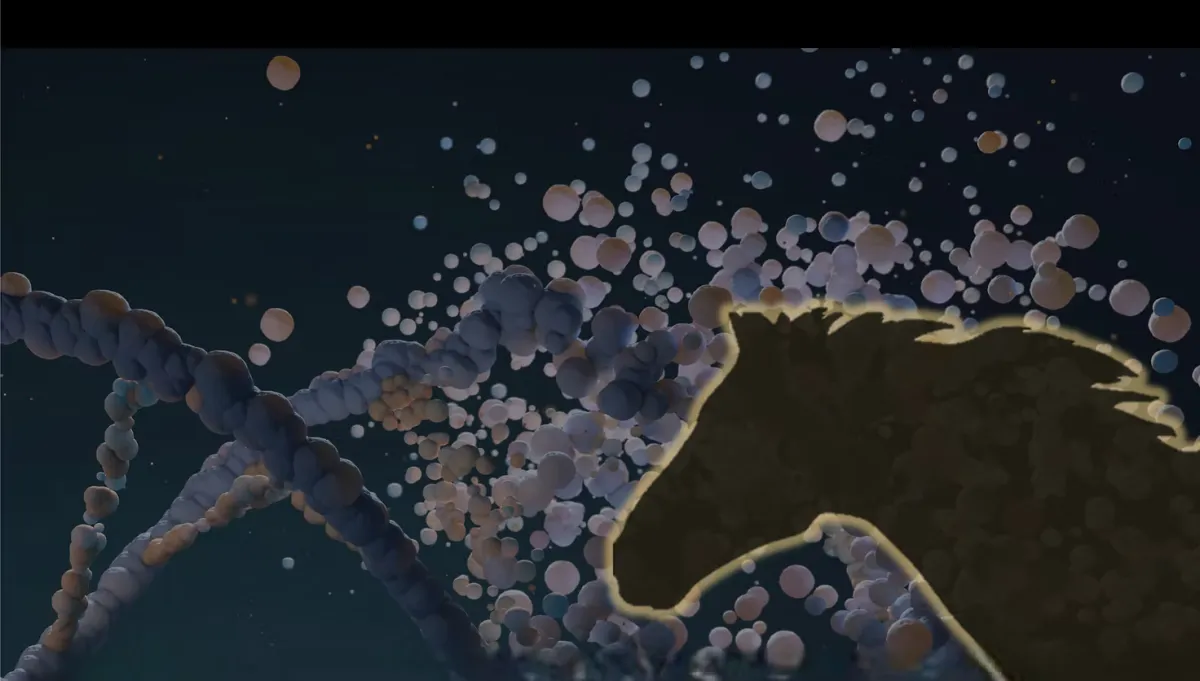 The Power of Alignment in Connection