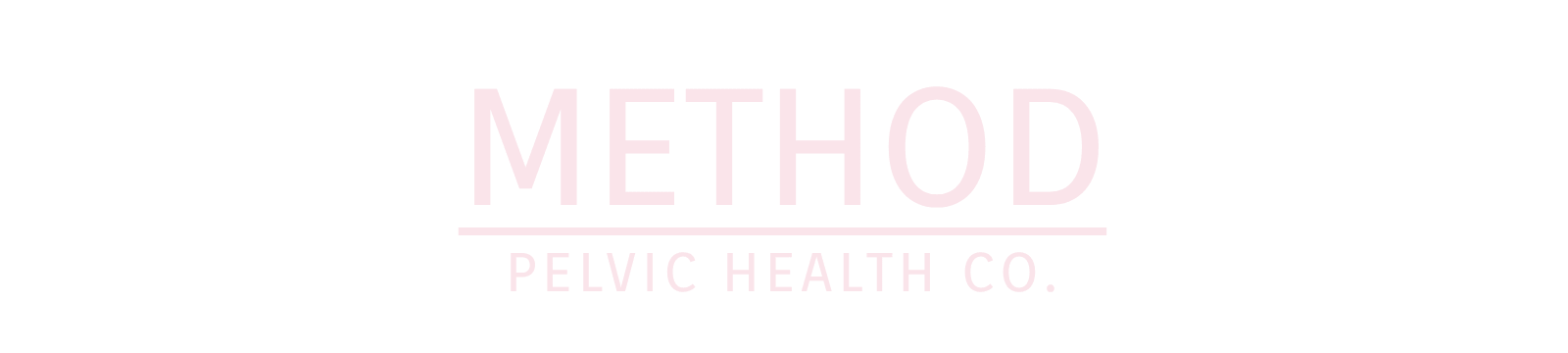 Logo Footer