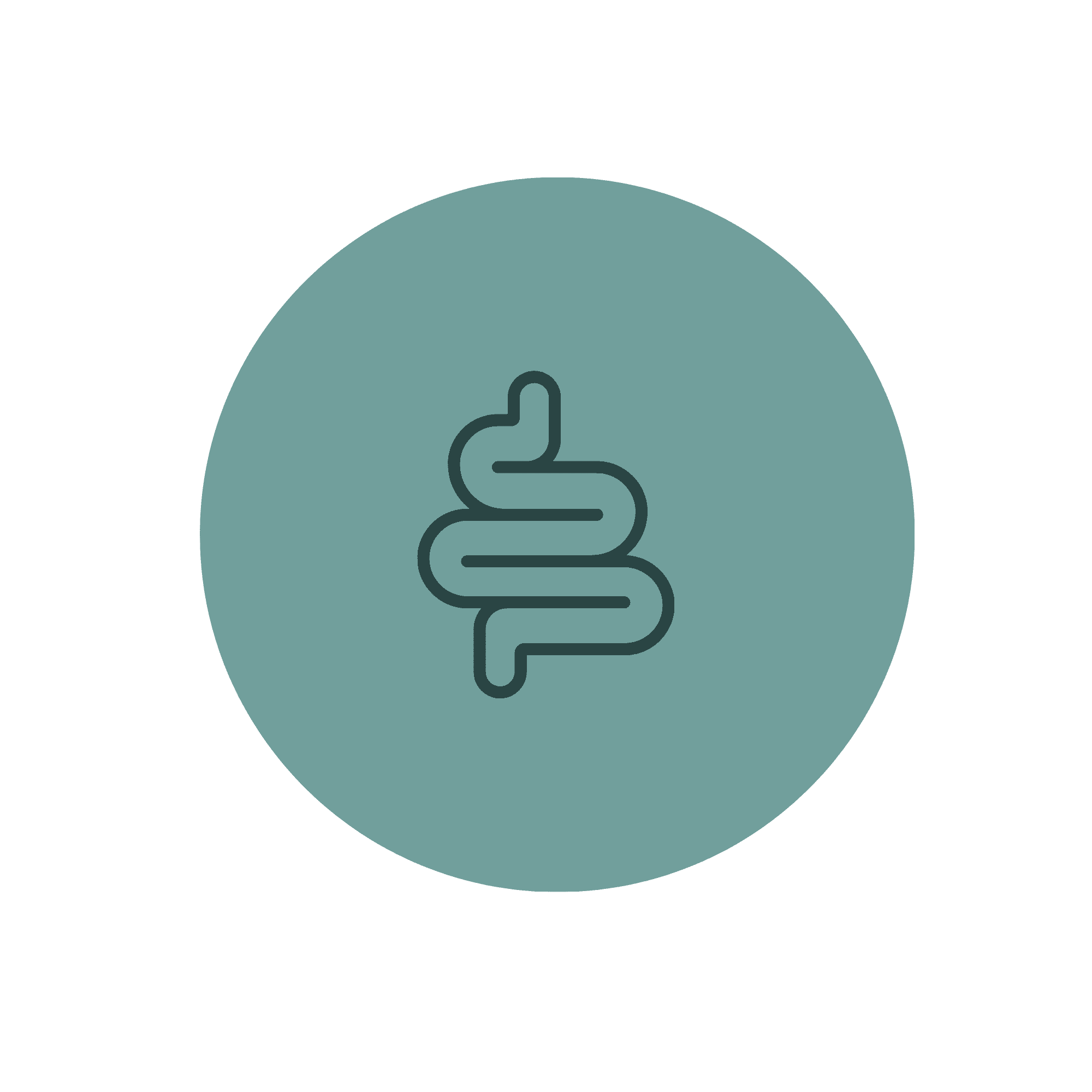 digestive-health-icon
