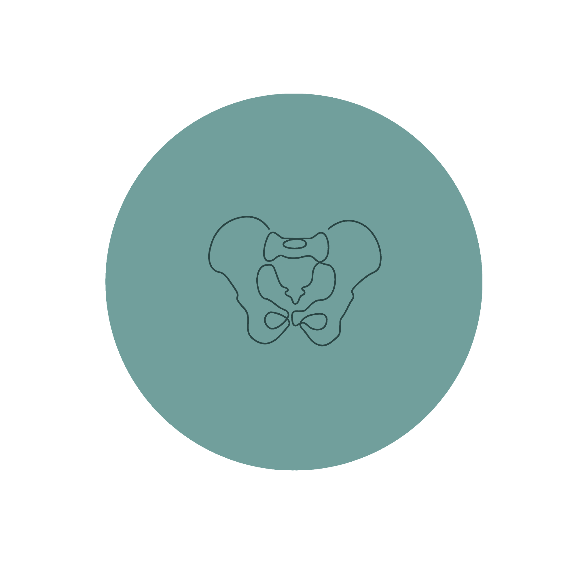 pelvic-wellness-icon
