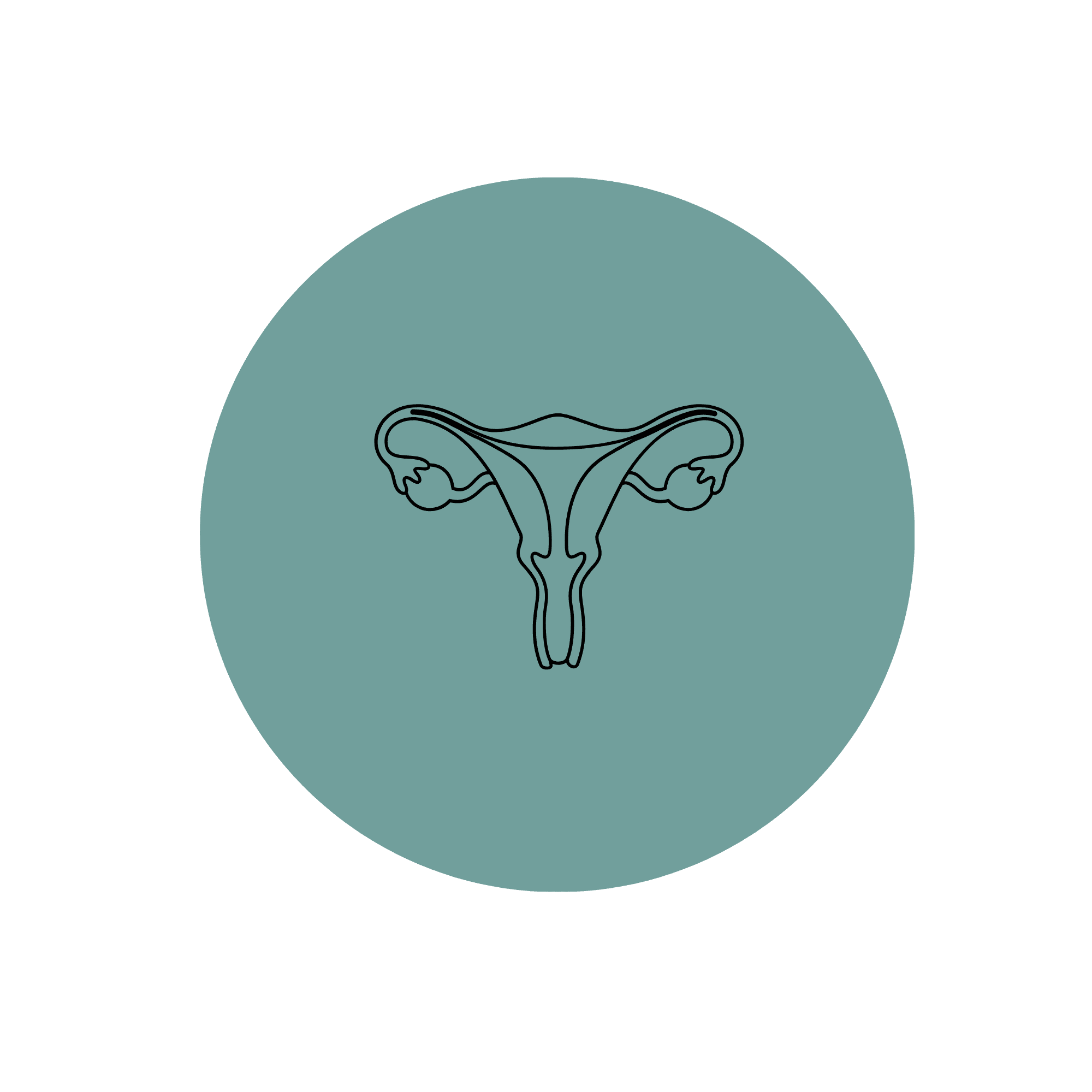 uterus-icon