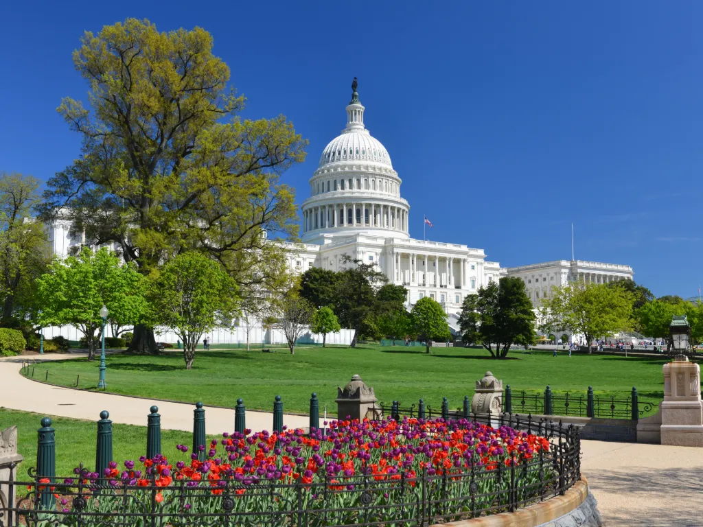 Washington D.C.