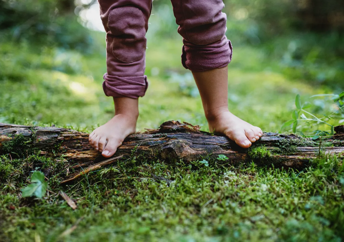 A tight shot of the bare feet of what appears to be a toddler with maroon pant legs rolled up balancing on a wet log that appears to be old and decaying against a vibrant green backdrop of a mossy setting.