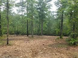 Mulching, Tree falling, and Other Land Clearing