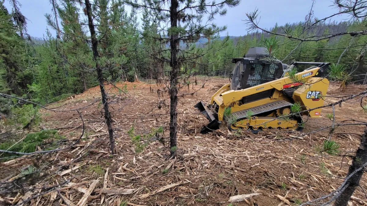 Mulching, Tree falling, and Other Land Clearing