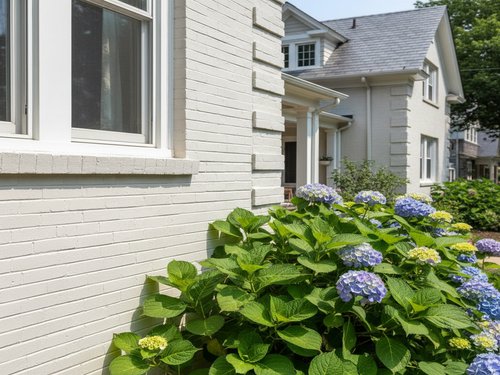 Chemical Cleaning in St. Louis, MO